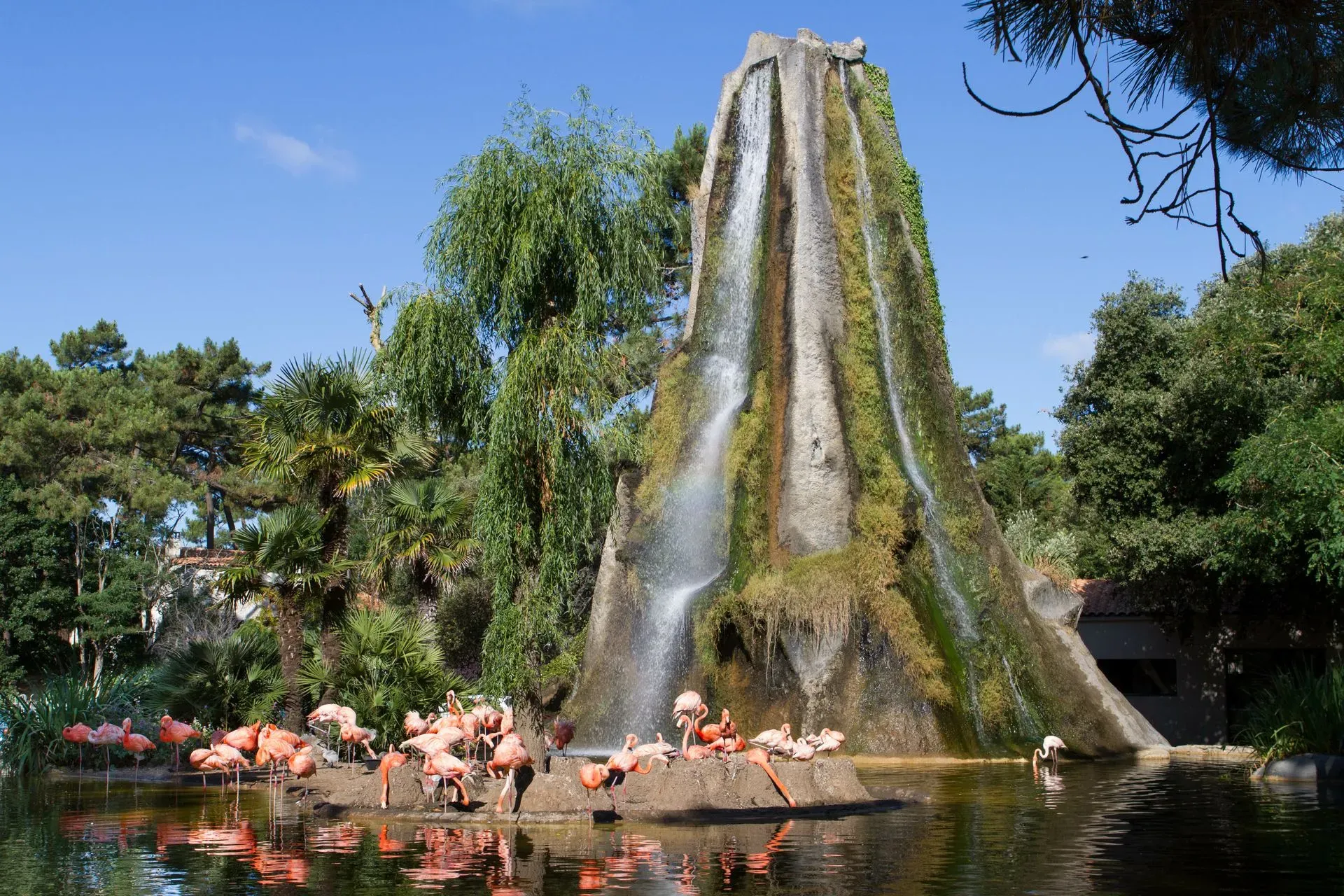 Zoo de la Palmyre