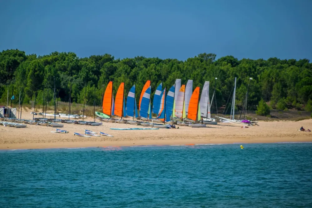 Voile