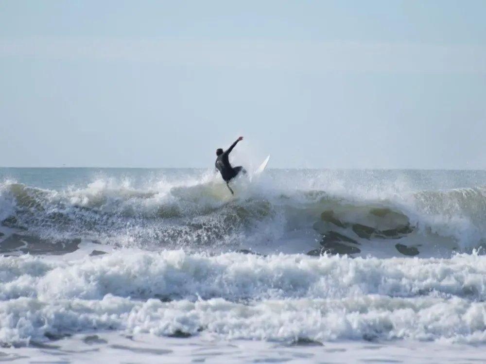 Surf