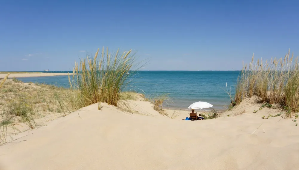 Dune